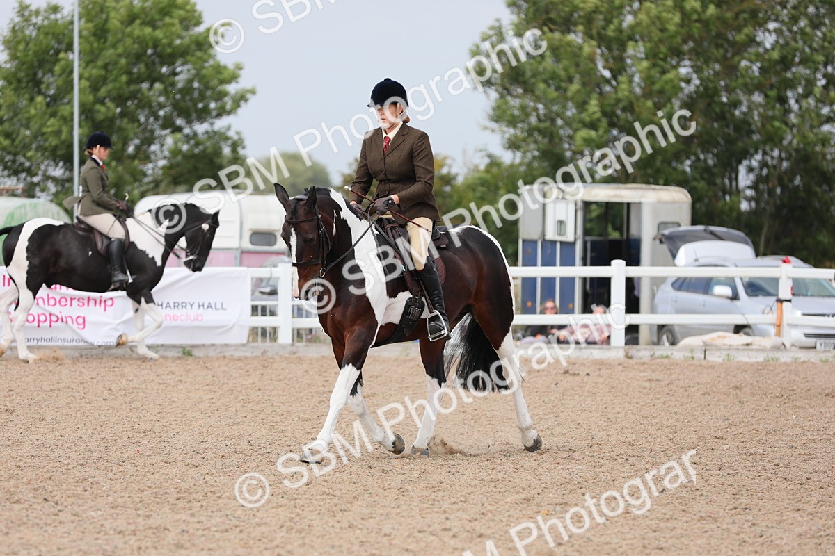 SBM_13357 - Class 308 Ridden Coloured Horse
