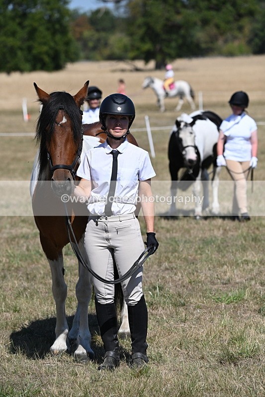 WJ6_8700 - Class 37b Best Loan Pony In-hand