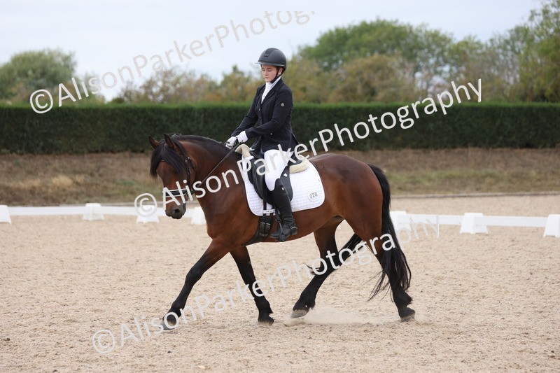 20250820-1224 - Class 18 - Elementary 5