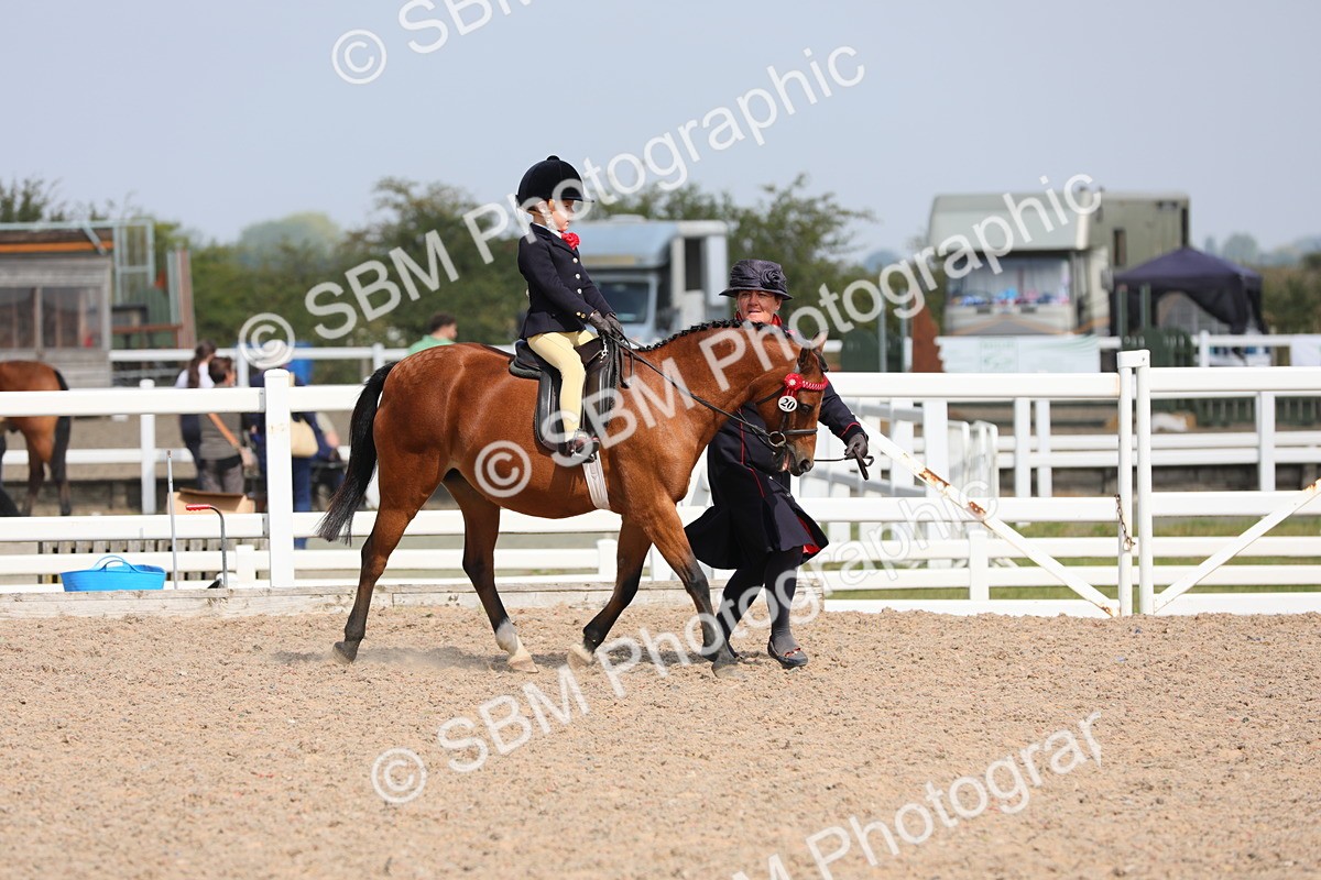 SBM_14060 - Class 309 Lead Rein Pony