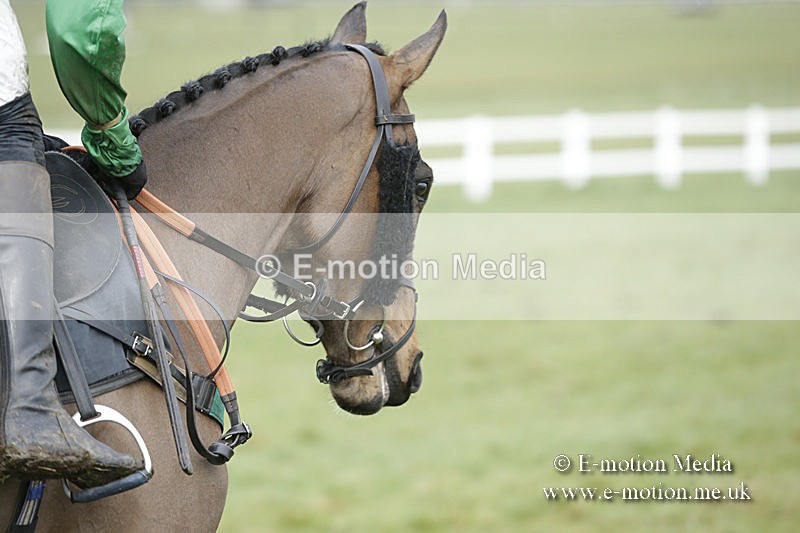 PtP 150320 0460 - New Forest Point-to-Point Larkhill 15/03/20