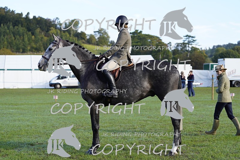 _DSC9392 - Class 8 & 17 Ridden Hunter & Ridden Hunter Pony