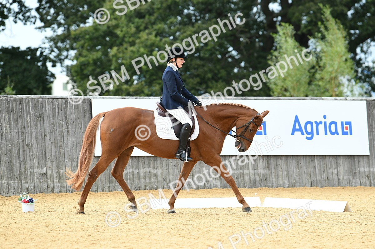 SBM_11003 - D28 Elementary Taster Elementary 42