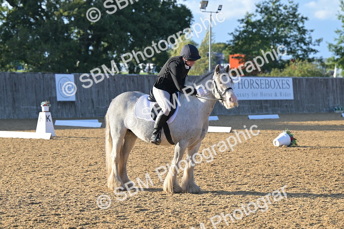 SBM_13162 - D3 - Small Tour Championship Intro 3