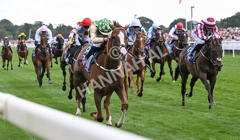 220826-143 Daiquiri Bay - Race 4 15.35pm Sky Bet Ebor Handicap