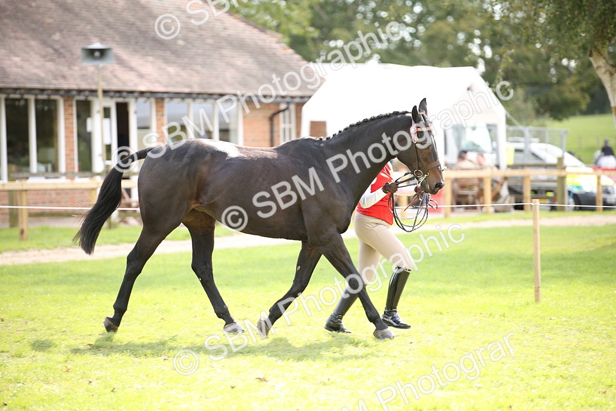 SBM_44371 - S24 - Young Veteran in hand