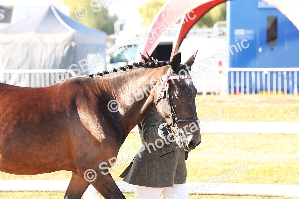 SBM_10760 - Class 201 - Best Turned Out - IH