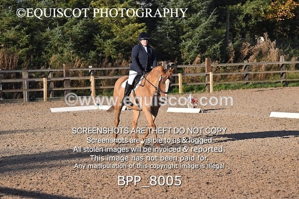 BPP_8005 - LONG ARENA