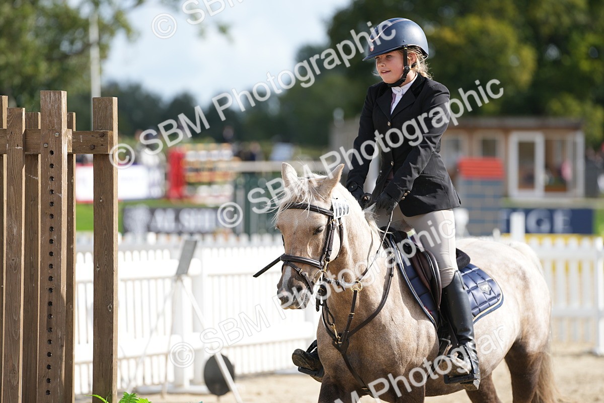 SBM_48565 - J7 - Junior Pony 60cm Championship