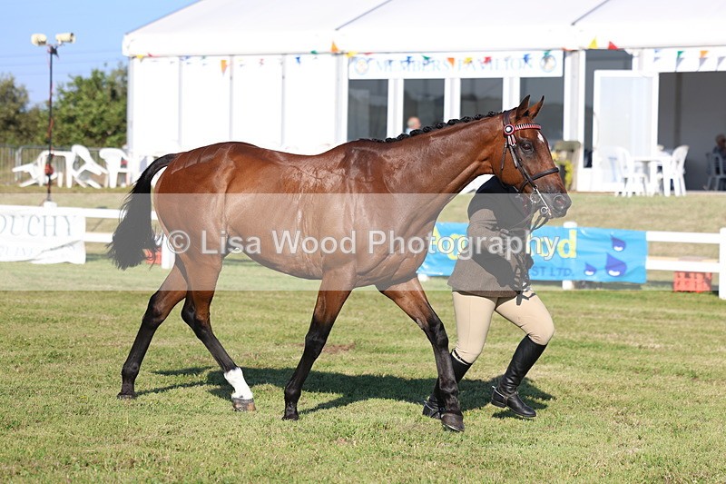 3E7A5166 - Class 1: Rising Star Small Hack/Riding Horses