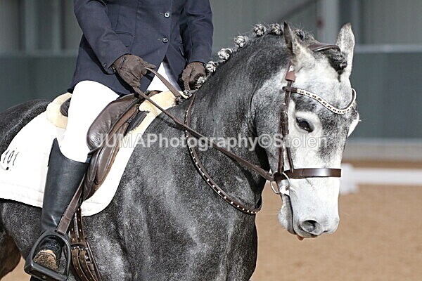 SIAL6971 - GDG Bogenraith Friday 26th Sept 2025