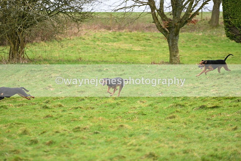 WJ5_4313 - Cam A