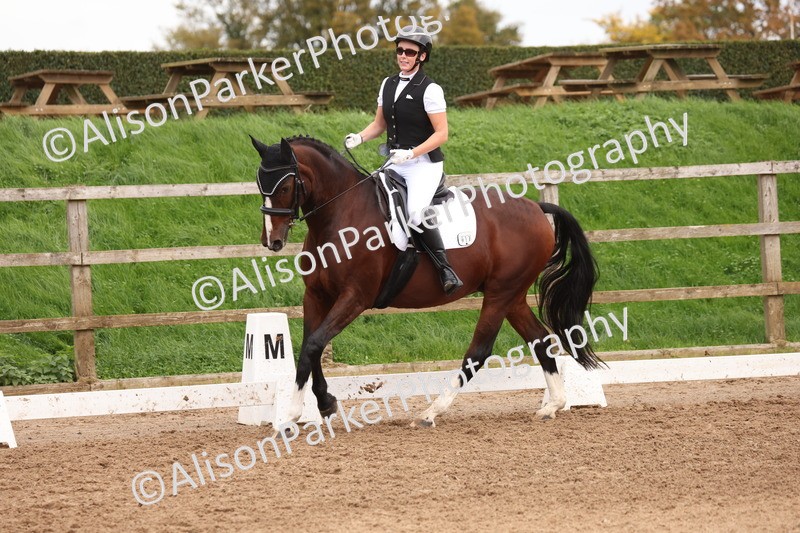 20251021-0615 - Class 7 - Elementary 1