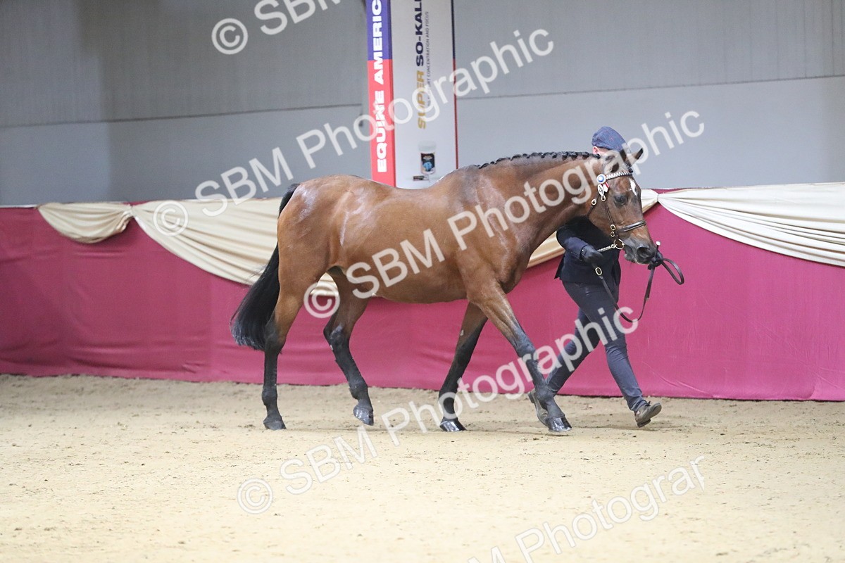 SBM_00232 - Class 1a - Area IH Diamond