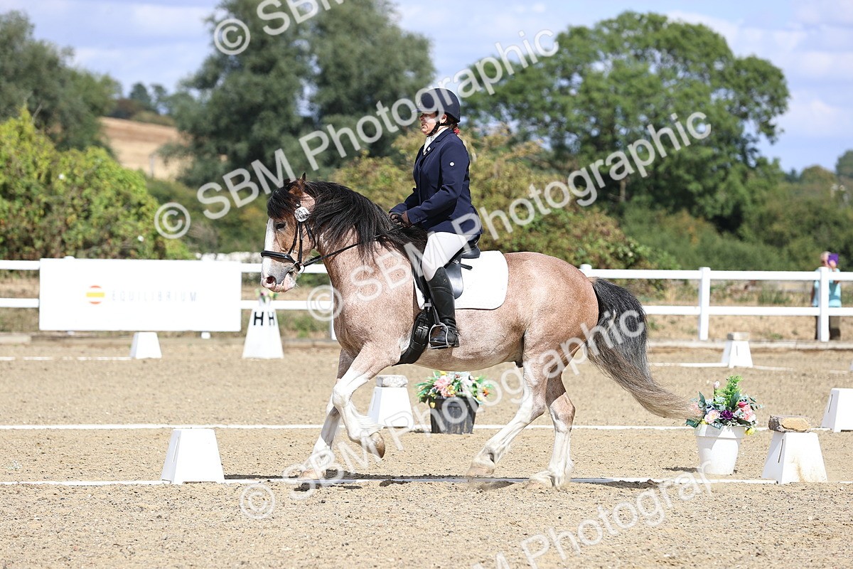 SBM_014571 - Class 5 - E5 Bronze 13.30.14.18