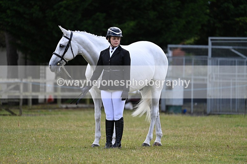 WJ7_7039 - Class 5a Most Handsome Gelding in Hand