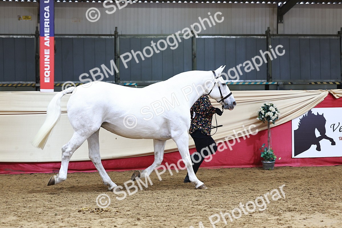 SBM_23071 - Class 903 - Supreme Final - IH Pre Vet