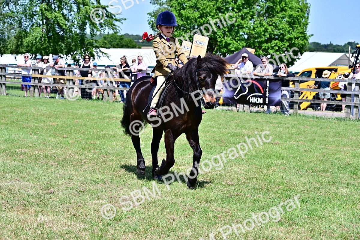 SBM_06100 - Class 59-60 - TSR M&M  Lear Rein and First Ridden Amateur of the year