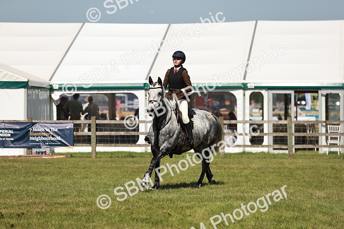 SBM_18375 - Class 112-113 - BSPS LIHS Working Sports Pony