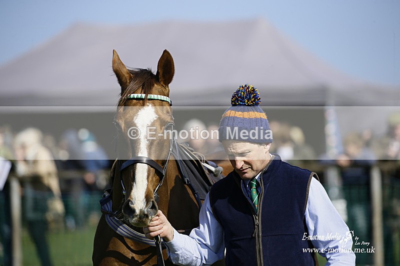PtP 190322 441 - Wilton Hunt PtP Milborne St Andrew 19/03/22