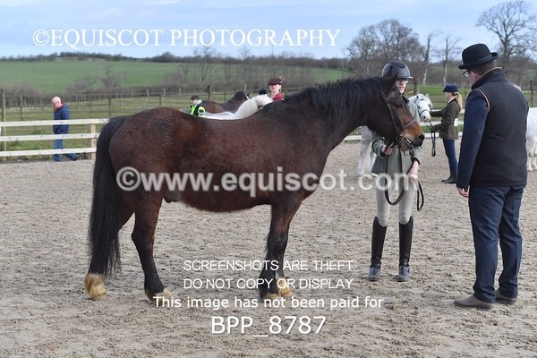 BPP_8787 - RING 2 - M&M