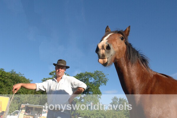 Spancil Hill Horse fair - Horse Fairs, Ireland