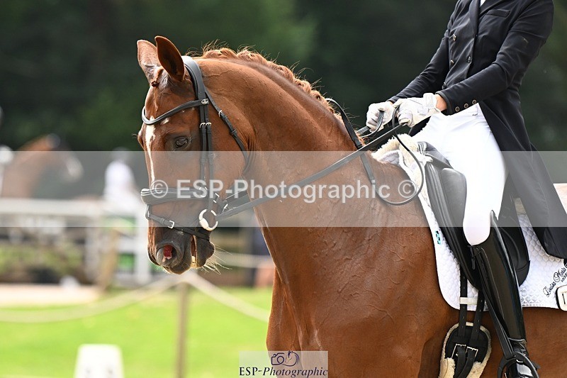 240811-134326-06160 - 127-Sarah.Stewart-DJoe.DiMaggio