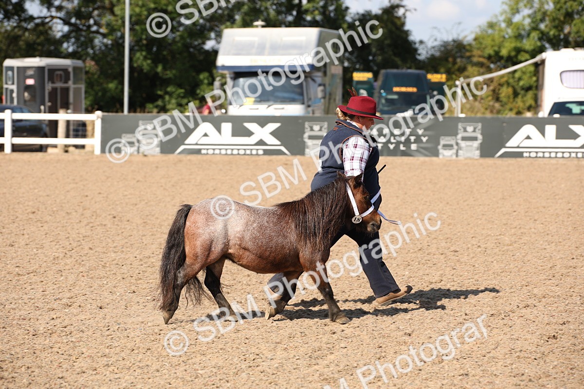 SBM_02771 - Class 16 IH M&M Wildcard