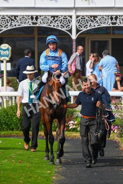 100923-Race 1-The Coffee Pod-0412 - Race 1 1.40pm Ire Incentive, It Pays To Buy Irish EBF Novice Stakes