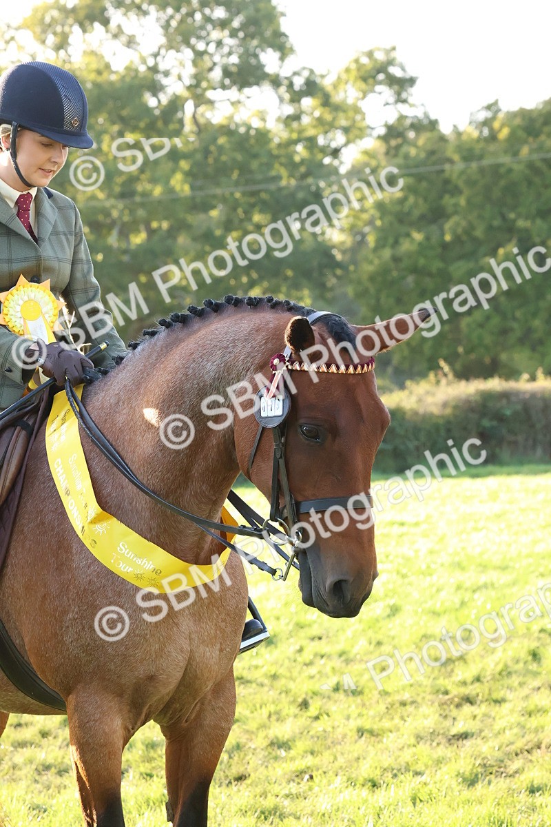 SBM_53159 - Veteran Supreme Championship