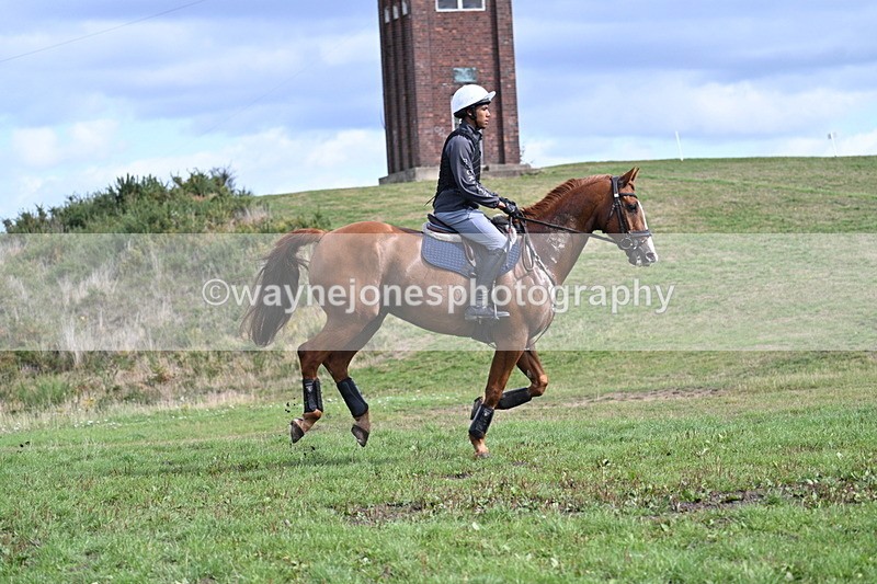 WJ7_1423 - Time 12:34 to 13:16