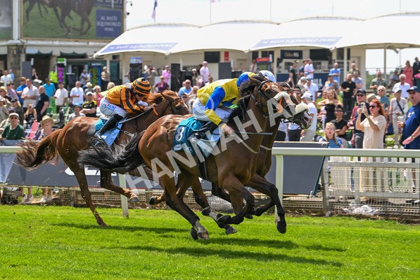130625-Race 1-Feel The Need-8374 - Race 1 1.50pm Andy Thornton Hospitality Furniture Apprentice Handicap