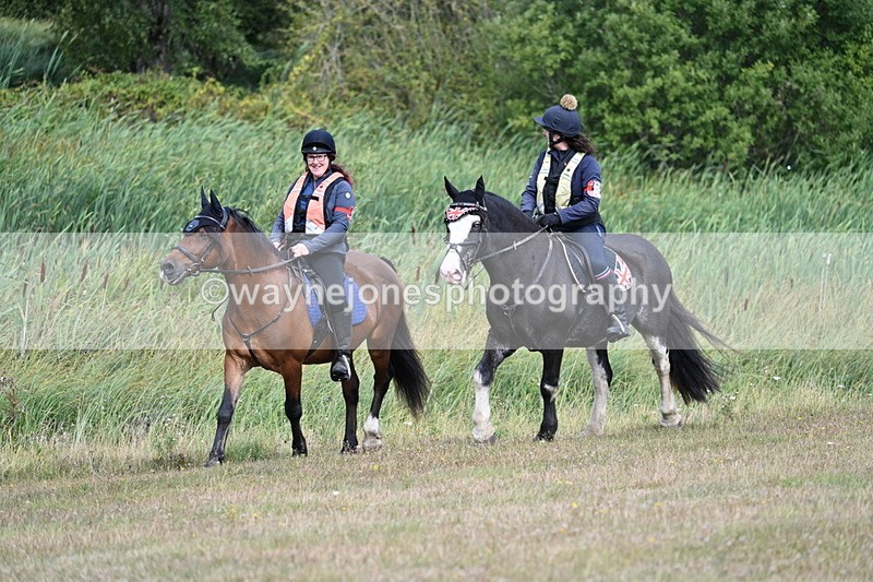 WJ7_5155 - Time 11:22 to 11:41