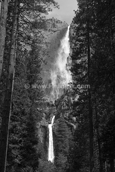  - Recent Images - by Matt Pennington