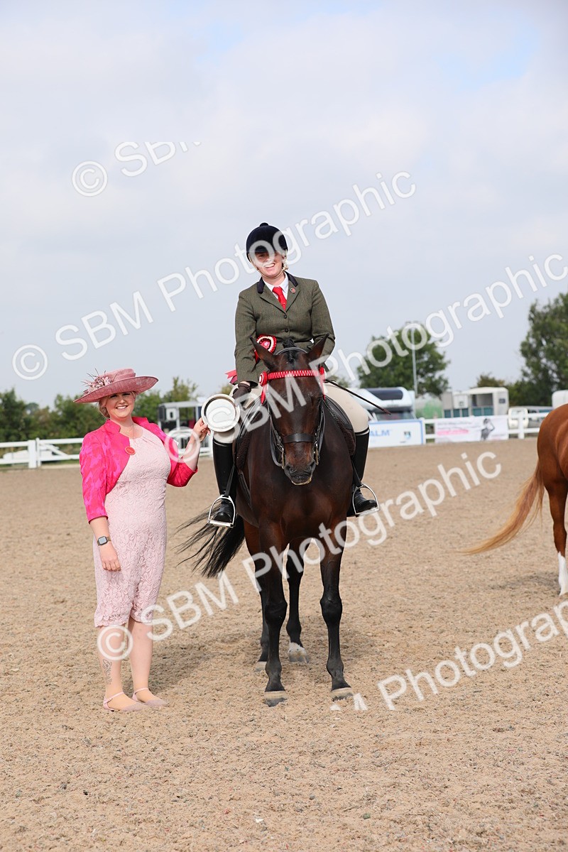 SBM_11475 - Class 305 Ridden Foreign Breeds- Pure Bred