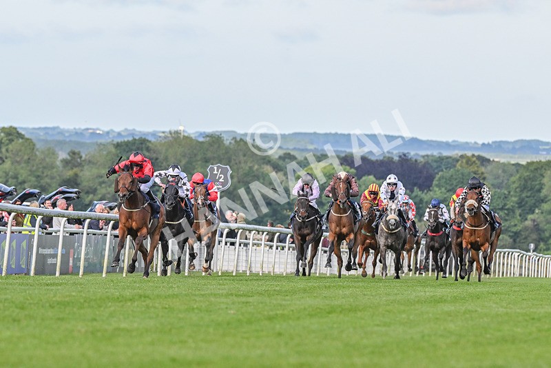 180624-Race 3-Sunny Orange-8560 - Race 3