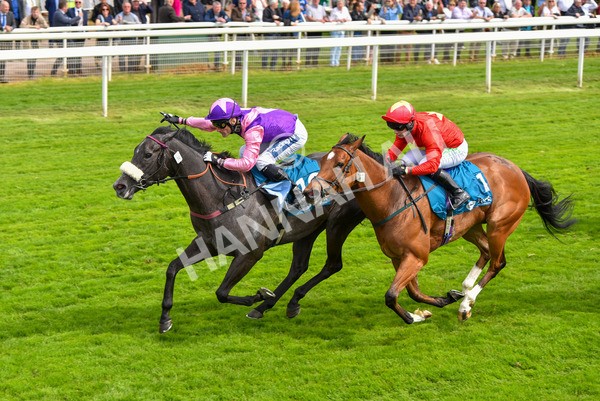 170523-Race 3-Azure Blue-8712 - Race 3 3.00pm 1895 Duke of York Clipper Logistics Stakes