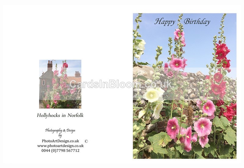 006 Norfolk Hollyhocks - Happy Birthday - Birthday
