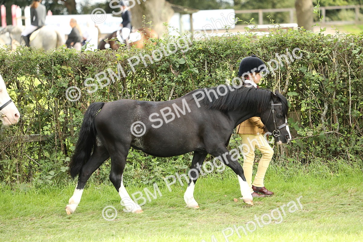 SBM_67672 - S39 - Junior Handler 8  Years & Under
