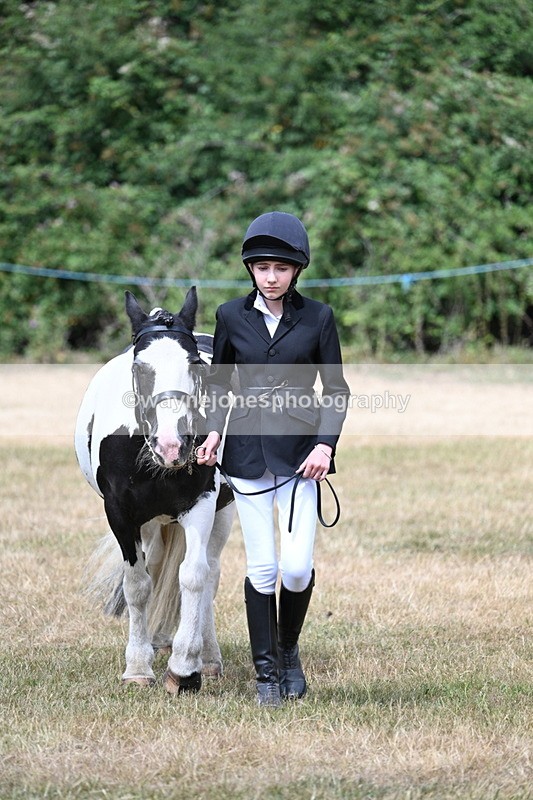 WJ7_1695 - Class 4 Prettiest Mare up to 14.2hh in hand