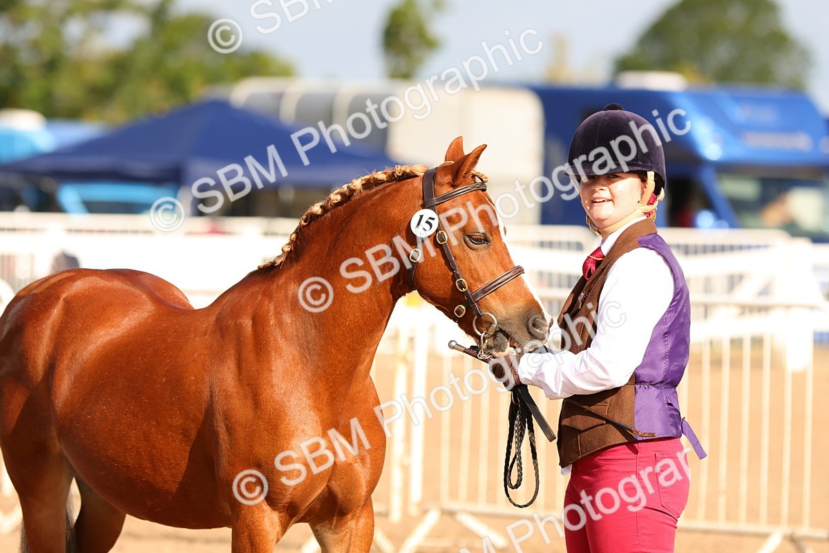 SBM_09234 - Class 204 - Young Handler