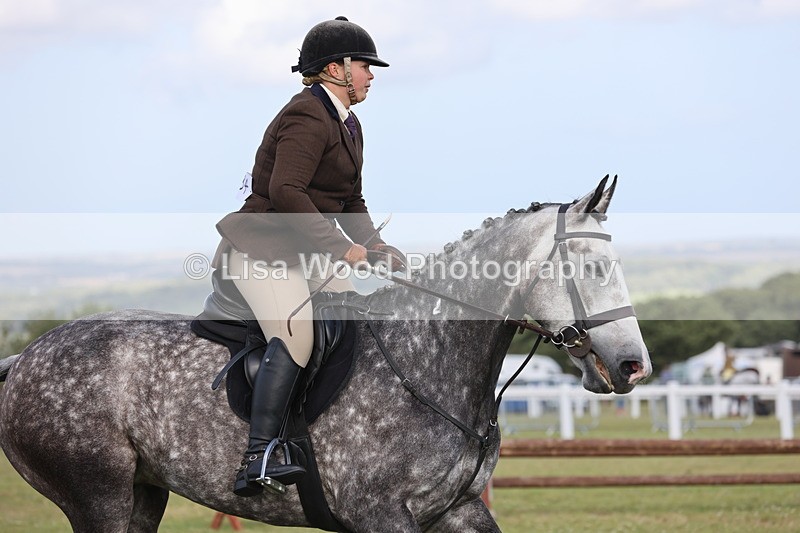 JPP_2672 - Class 20: Working Hunter 70cm