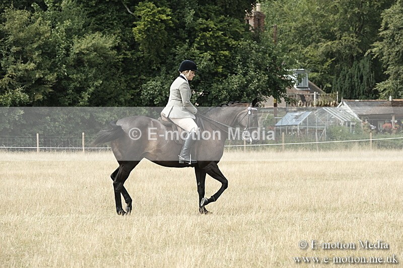 _PJP6051 - BVRC Show 2018 Ring 1