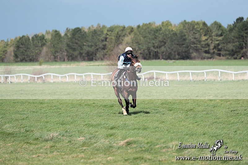 PtP 230324 274 - Tedworth Hunt PtP Larkhill Raccourse 23rd March 2024