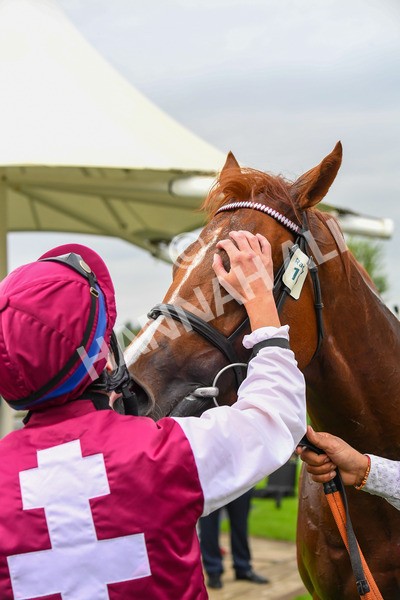 230823-Race 7-Zoulu Chief-1019 - Race 7 5.20pm Sky Bet Nursery Handicap