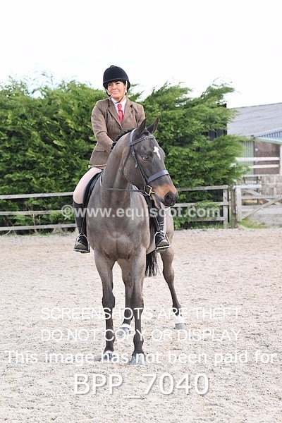 BPP_7040 - RING 1  (RIDDEN HORSES / IN HAND / VETERAN ETC)