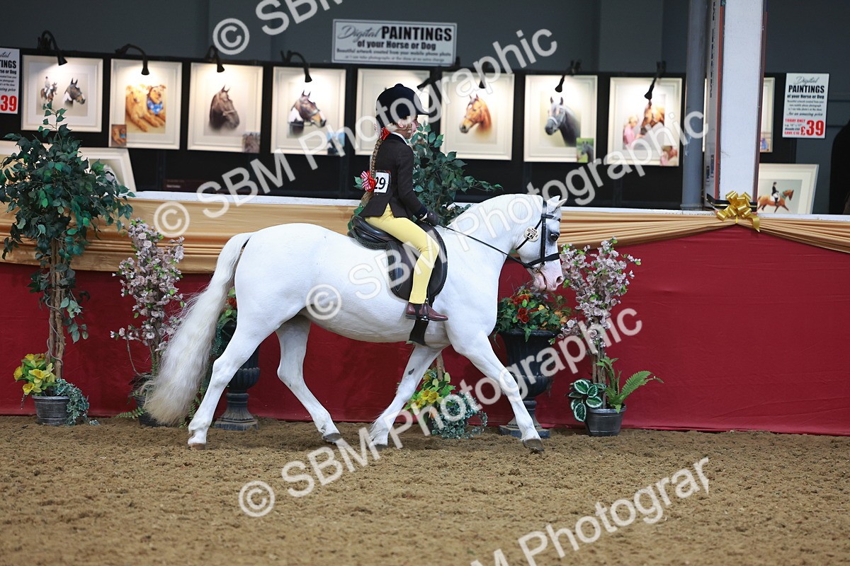 SBM_10579 - Class 103 - HOYS Veteran Qualifier - Ridden Pre Vet