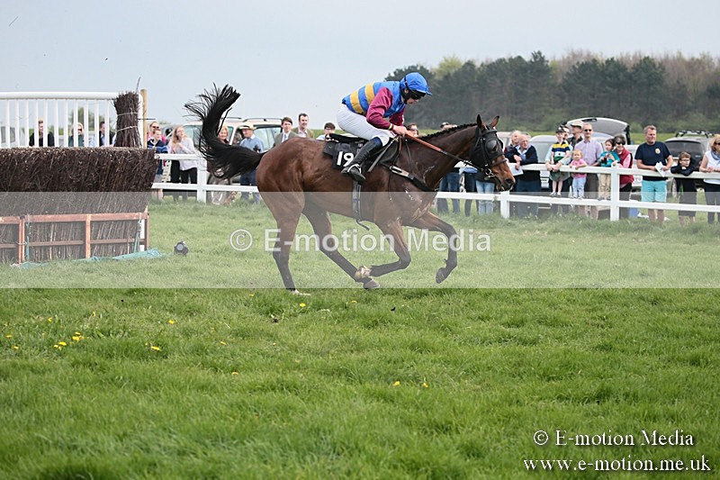 PtP 210418 383 - South & West Wilts Point-to-Point Larkhill 21/04/18