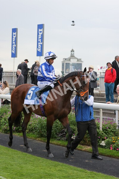 yr19082021r5-5 - Race 5 4.10pm OR8wellness ebfstallions Nursery Handicap