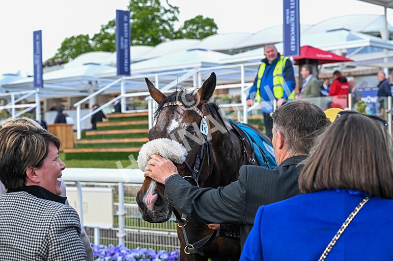 140526-Race 7-Arc Ole Ole-6244 - Race 7 5.15pm Frank Whittle Partnership Handicap